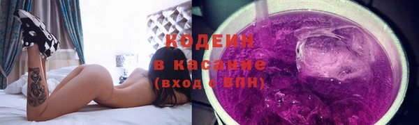 скорость Вяземский