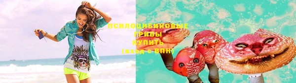 скорость Вяземский