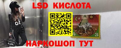 дмт Будённовск