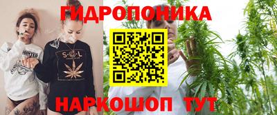дмт Будённовск