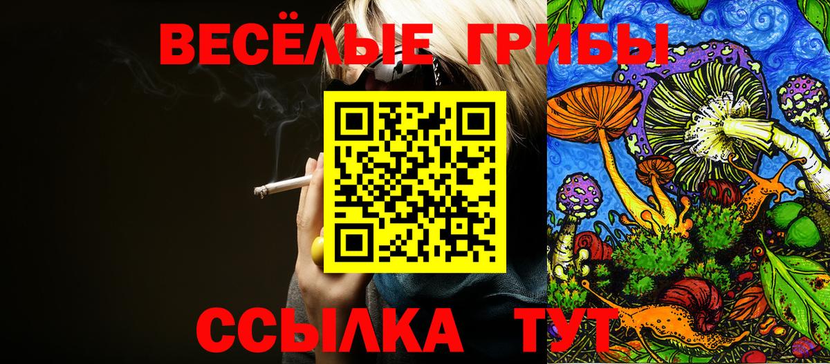 Псилоцибиновые грибы GOLDEN TEACHER  Вход с VPN  Галлюциногенные грибы ЛСД  Дзержинский 