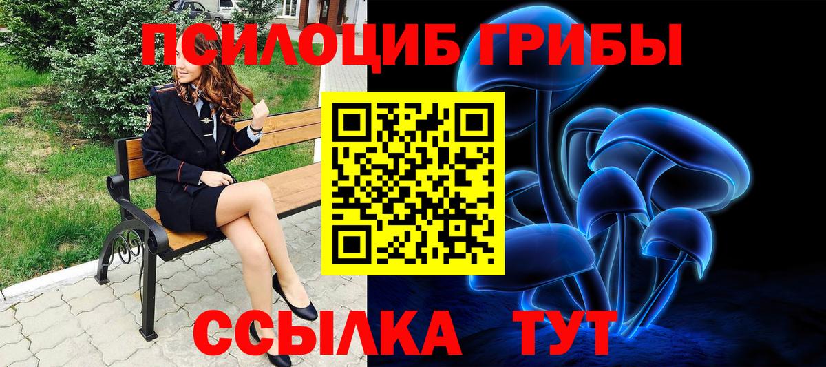 Галлюциногенные грибы Psilocybe  Псилоцибиновые грибы Cubensis  Дзержинский 