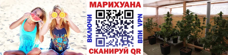 где продают   Дзержинский  Бошки Шишки тримм 