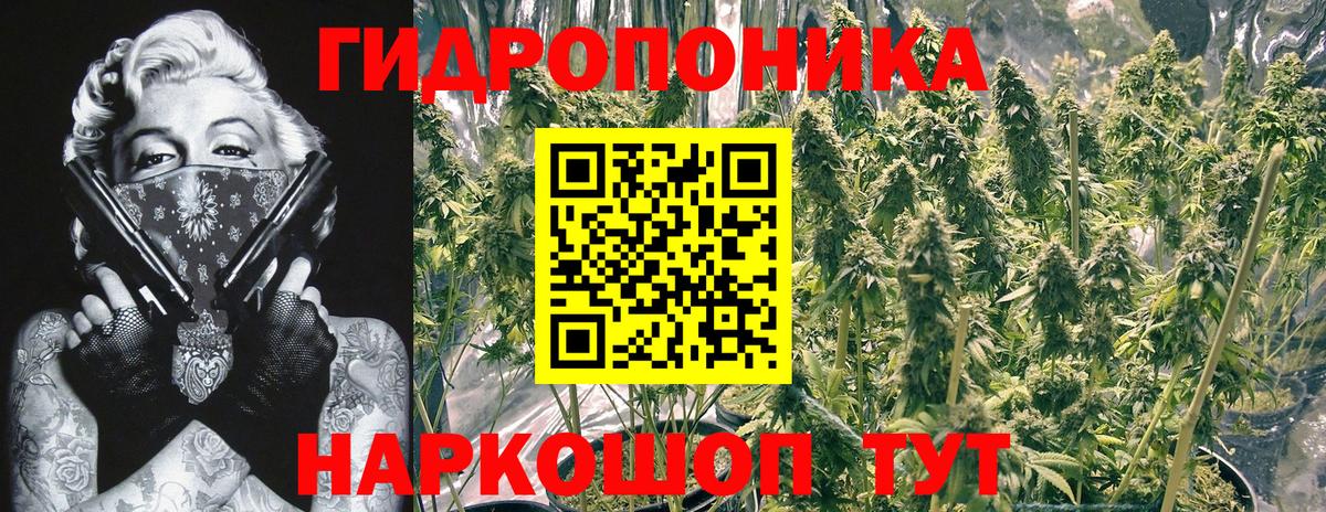Шишки марихуана марихуана Дзержинский